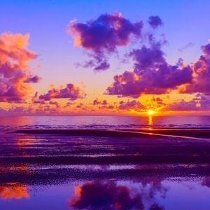 Meet your Posher, Serena